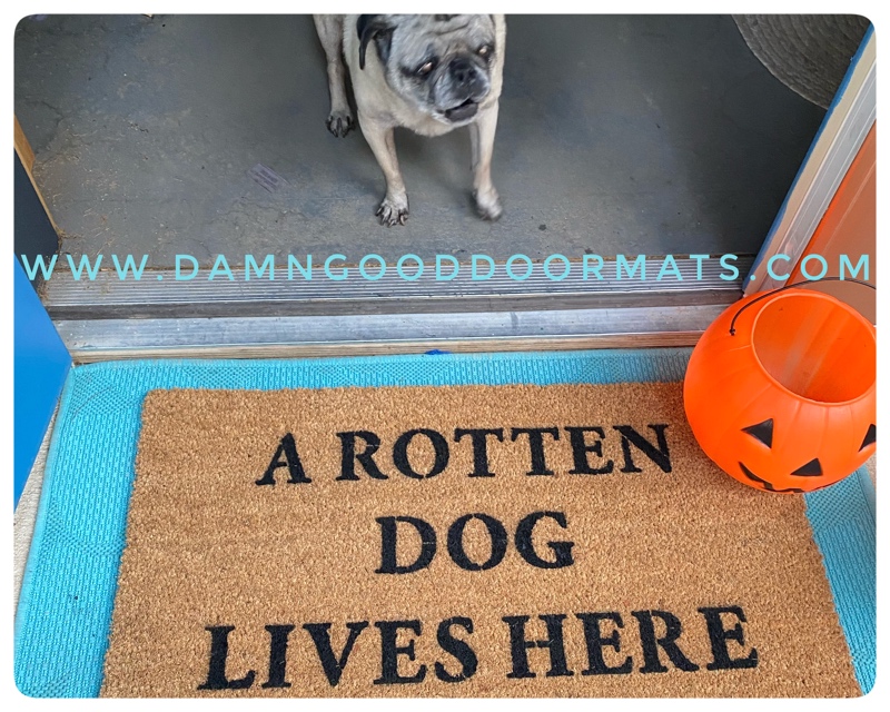 hocus pocus doormat reading a rotten dog lives here with fawn senior pug and halloween porch decor